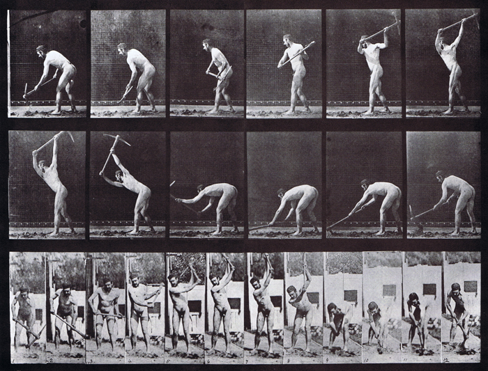 Profile and front views of nude male farmer, looping swinging a pick ax animation reference using muybridge plate 385 from animal locomotion