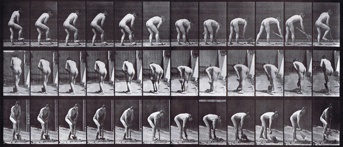 Profile, rear, and fron three-quater views of nude male farmer using a spade loop animation reference using muybridge plate 388 from animal locomotion