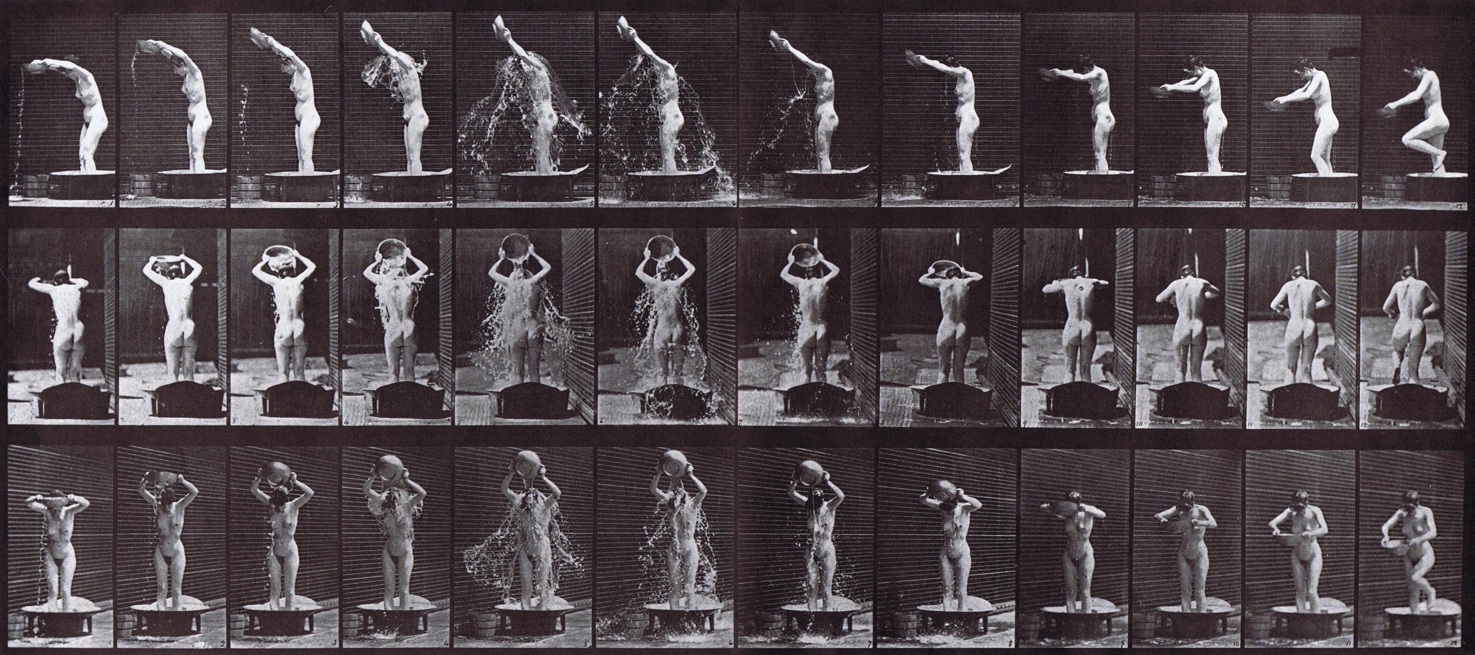 large profile, rear, and front three-quarter views of nude female emptying a water basin over her head animation reference using muybridge plate 409 from animal locomotion large profile, rear, and front three-quarter views of nude female emptying a water basin over her head animation reference using muybridge plate 409 from animal locomotion