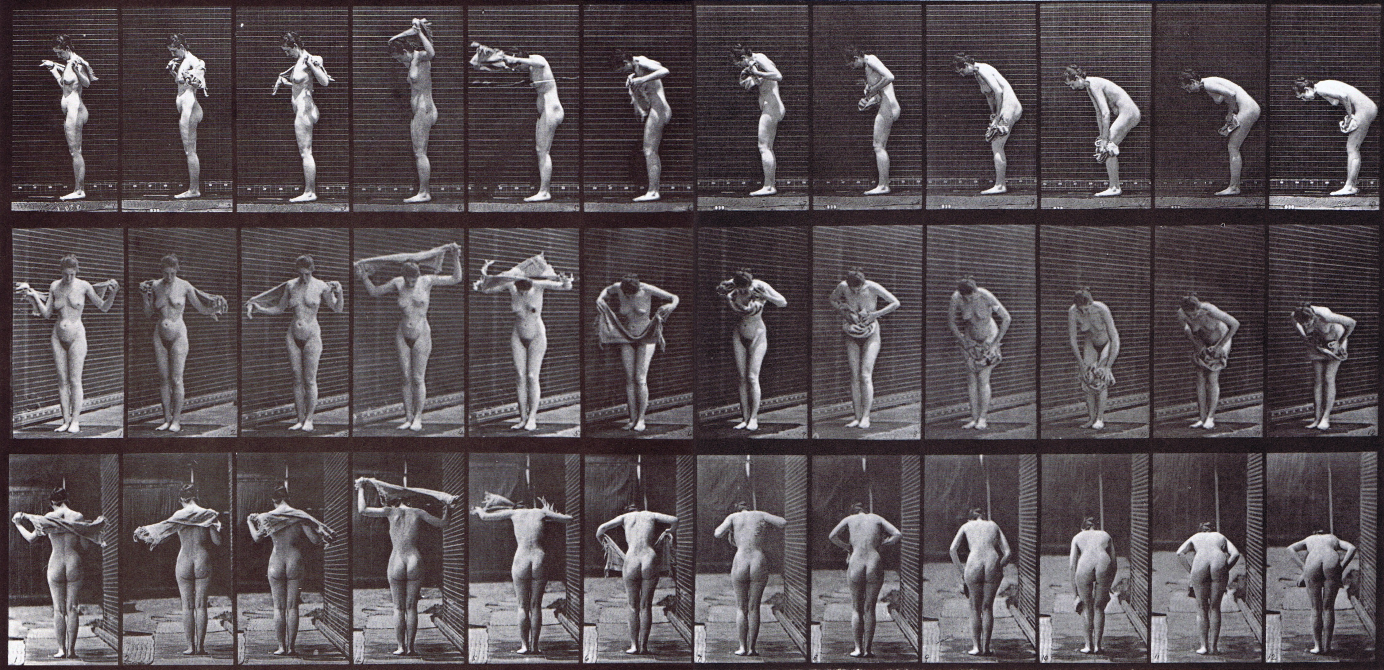 large profile, front three-quarter, and rear views of nude female wiping body with a towl, drying off animation reference using muybridge plate 414 from animal locomotion large profile, front three-quarter, and rear views of nude female wiping body with a towl, drying off animation reference using muybridge plate 414 from animal locomotion