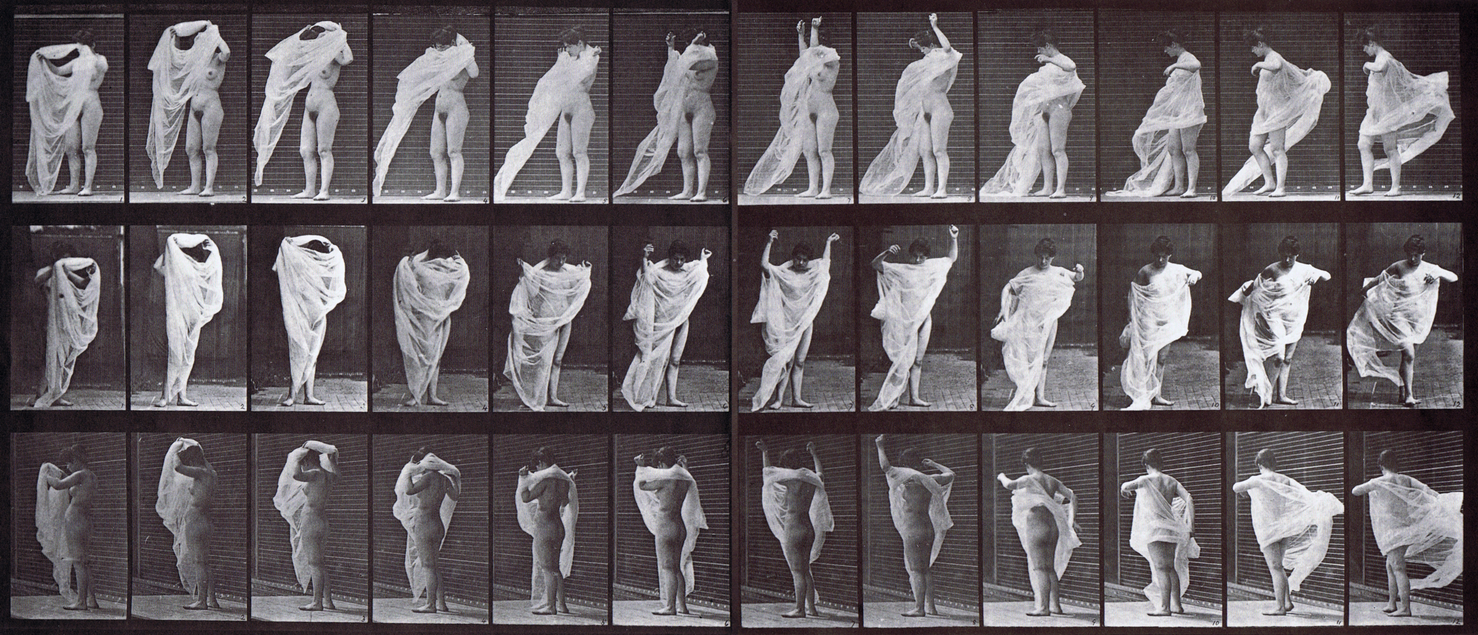 large profile, front, and rear three-quarter views of nude female putting lifting and sliding dress over head animation reference using muybridge plate 416 from animal locomotion