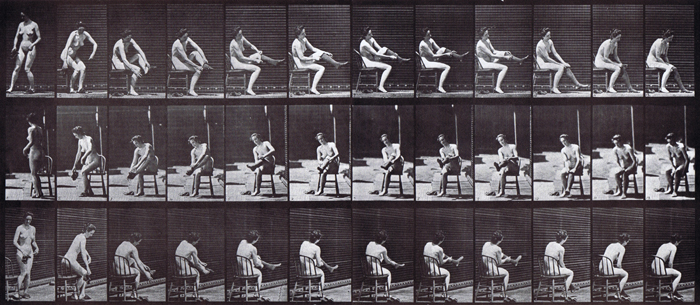 Profile, front, and rear three-quarter views of nude female turning, sitting then putting on stockings animation reference using muybridge plate 418 from animal locomotion