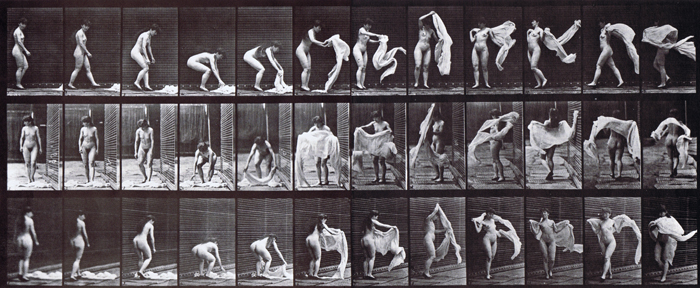 Profile, front, and rear three-quarter views of nude female stooping to pick up a wrap then throwing it around her shoulders animation reference using muybridge plate 419 from animal locomotion