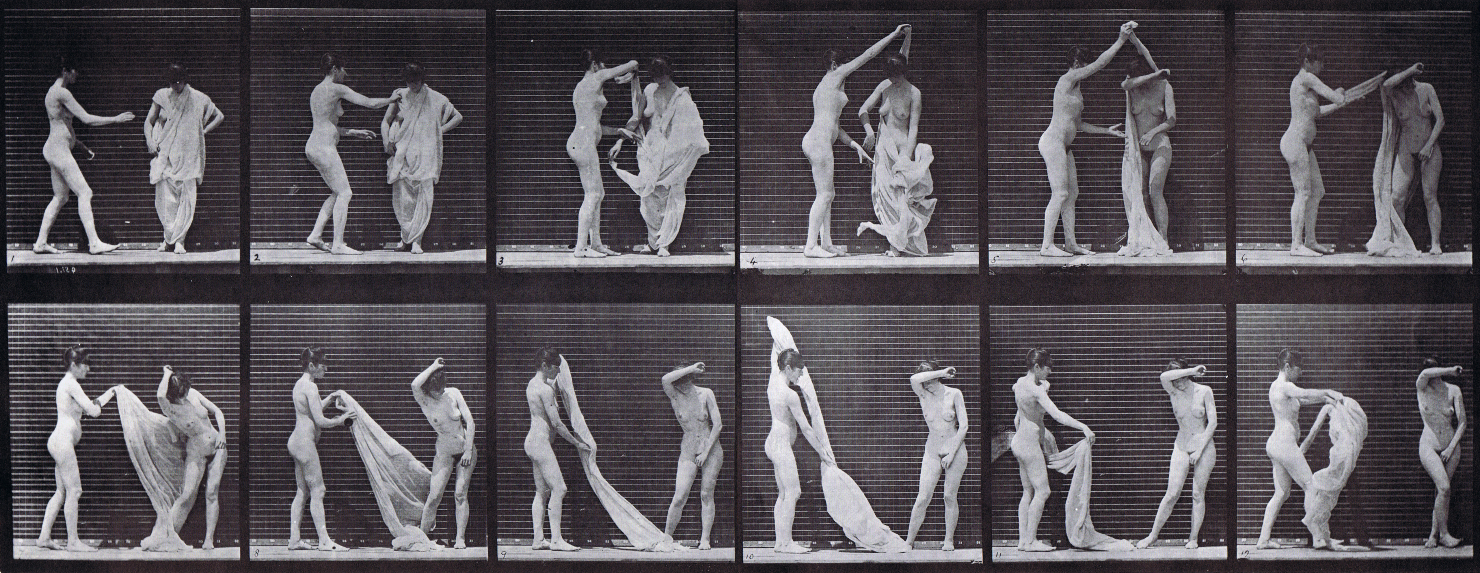 large profile view of two nude females, one disrobing the other animation reference using muybridge plate 427 from animal locomotion large profile view of two nude females, one disrobing the other animation reference using muybridge plate 427 from animal locomotion