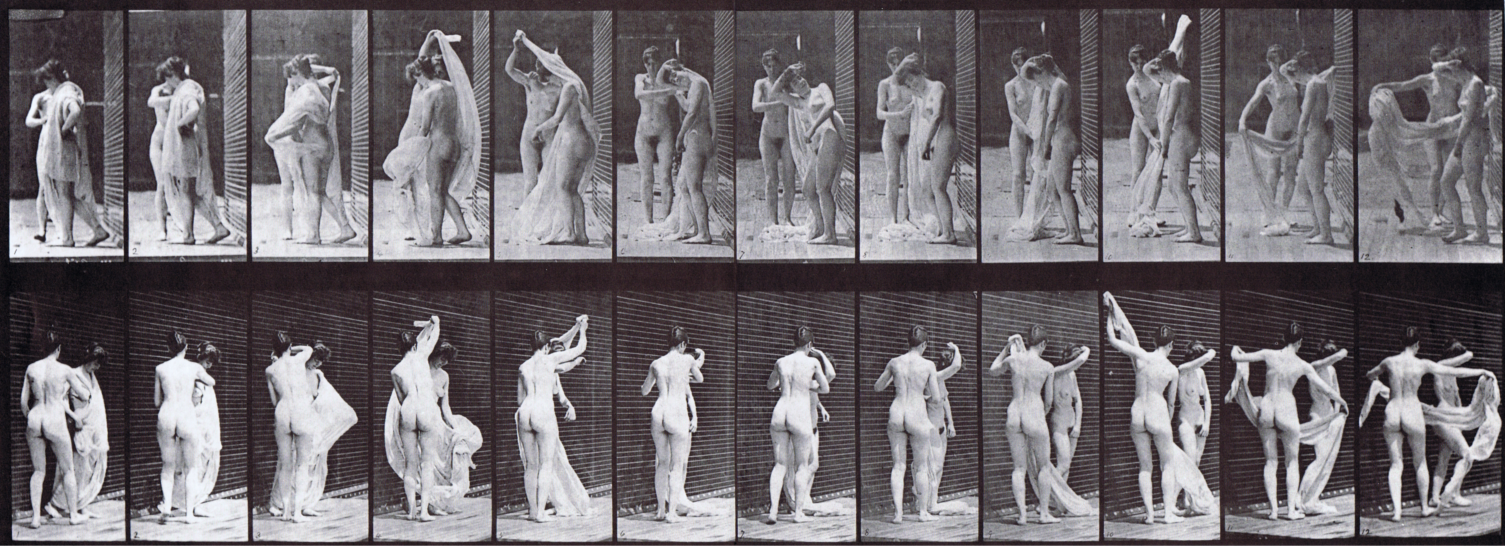 large front and rear three-quarter views of two nude females, one disrobing the other animation reference using muybridge plate 428 from animal locomotion large front and rear three-quarter views of two nude females, one disrobing the other animation reference using muybridge plate 428 from animal locomotion