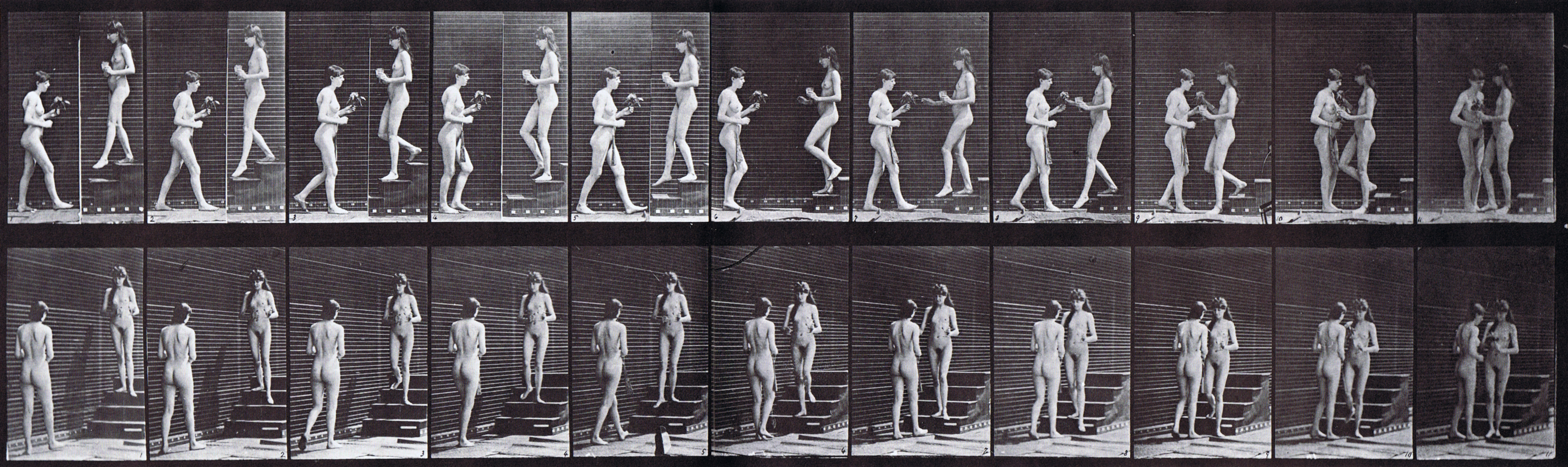 large profile and three-quarter views of two nude female, one descending the stairs with goblet, other girl with bouquet, meeting animation reference using muybridge plate 448 from animal locomotion