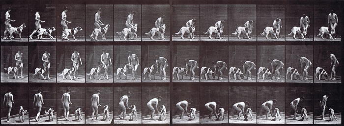 Profile, front three-quarter, and rear three-quarter views of nude female feeding a dog animation reference using muybridge plate 449 from animal locomotion