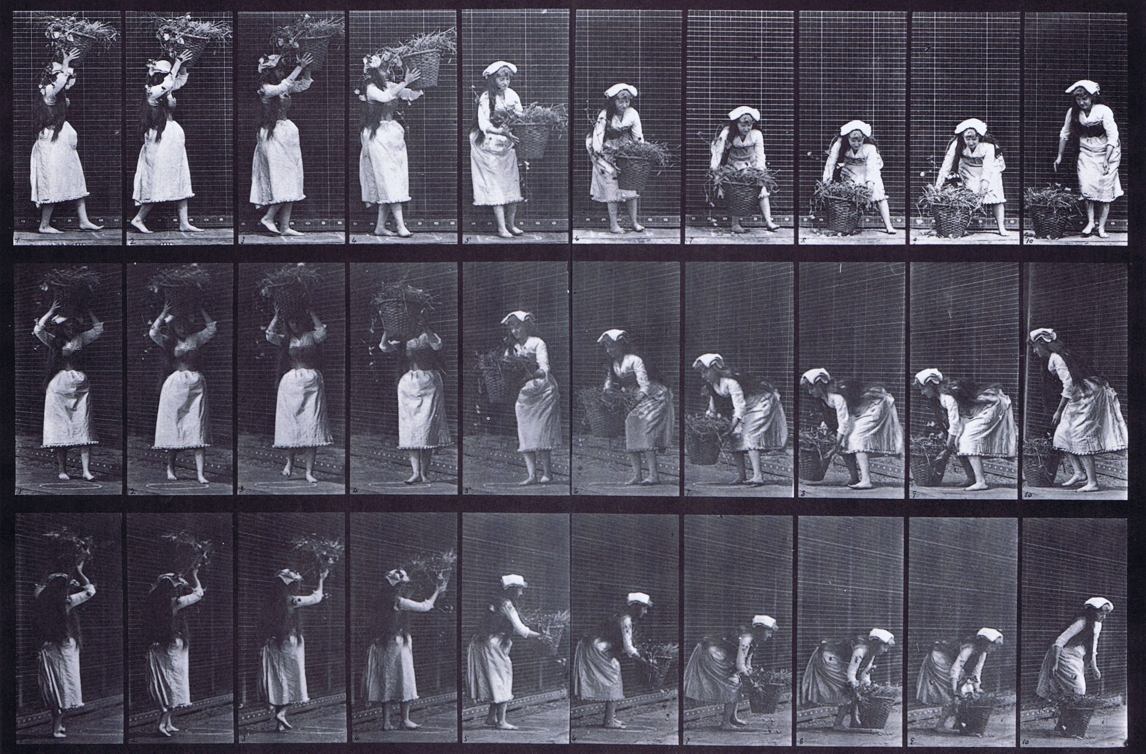 large profile, front three-quarter, and rear three-quarter views of clothed female taking a 12 pound basket from head and placing on the ground animation reference using muybridge plate 454 from animal locomotion