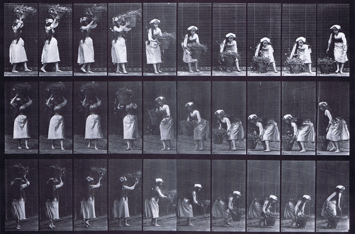 Profile, front three-quarter, and rear three-quarter views of clothed female taking a 12 pound basket from head and placing on the ground animation reference using muybridge plate 454 from animal locomotion