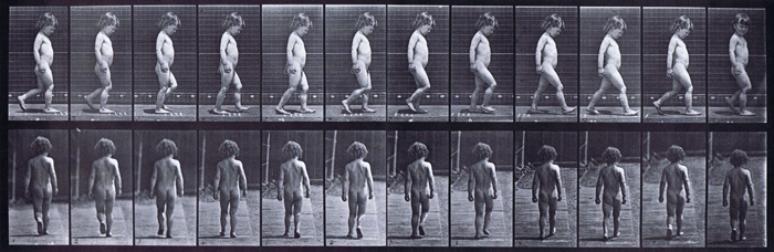 Profile and rear views of a nude male toddler child looping walking animation reference using muybridge plate 467 from animal locomotion