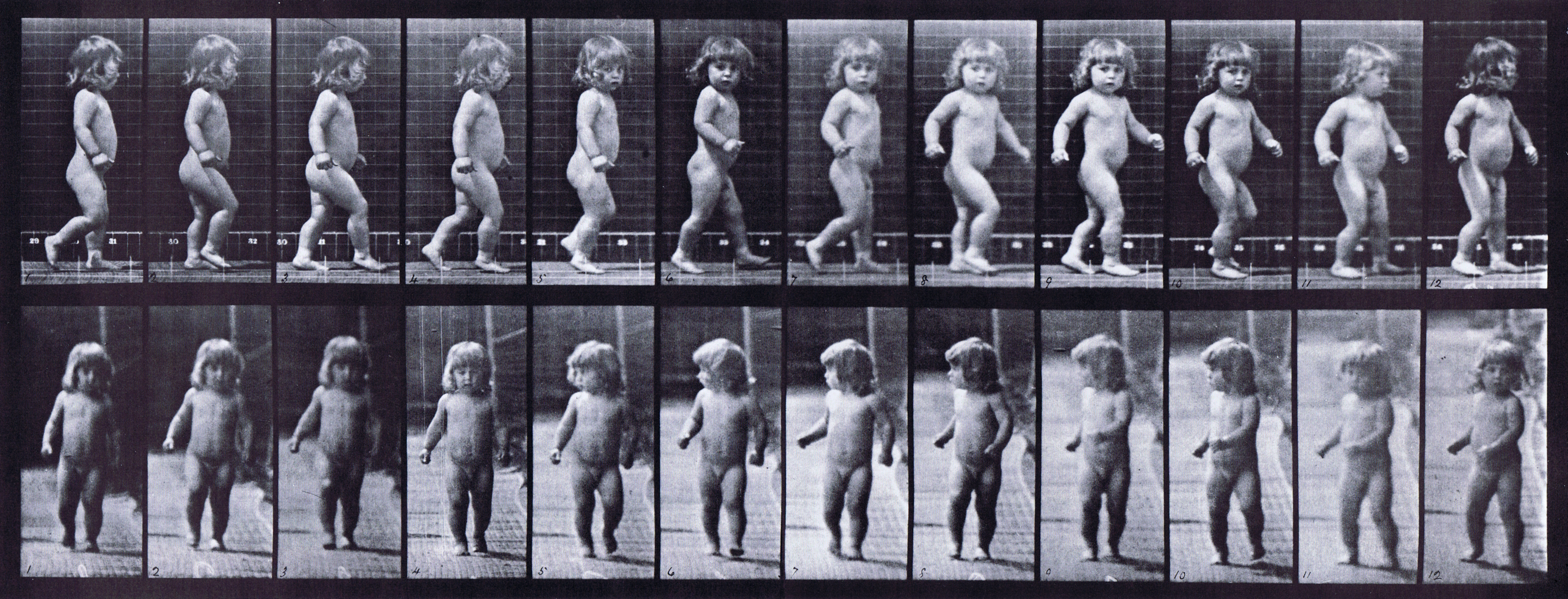 large profile and front views of nude male toddler child walking, then turning to face camera animation reference using muybridge plate 468 from animal locomotion