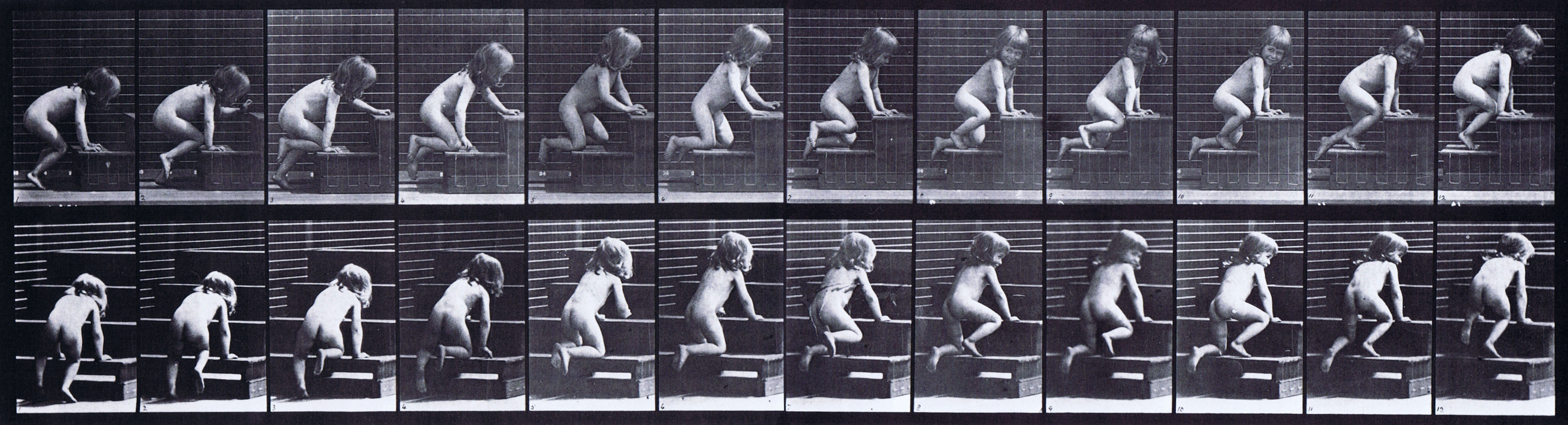 large profile and rear three quarter views of nude female toddler child crawling up stairs animation reference using muybridge plate 472 from animal locomotion