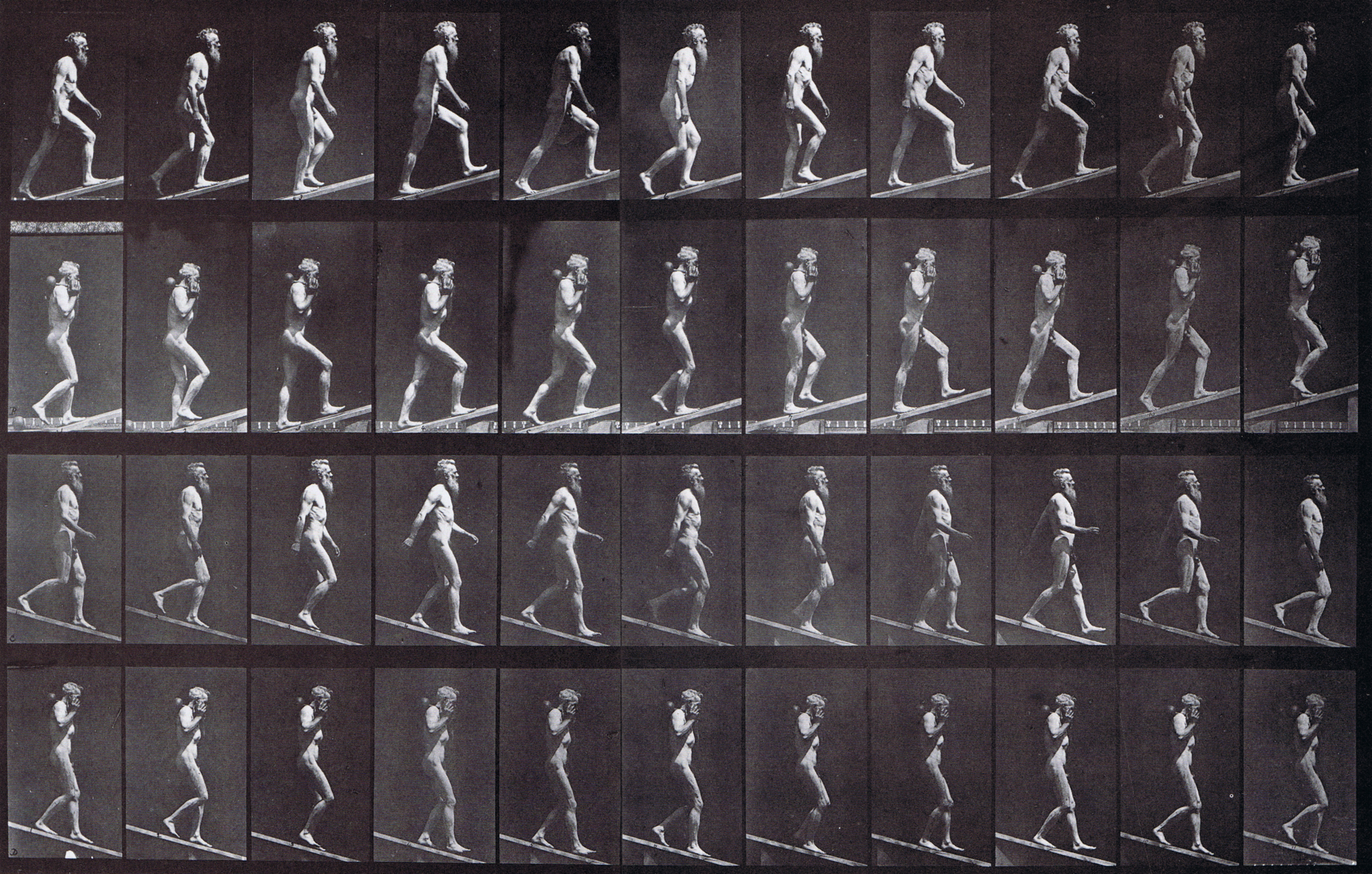 large profile views of a nude male ascending an incline, ascending an incline carrying a dumbbell, descending an incline, and descending an incline while carrying a dumbbell animation reference  using muybridge plate 489 from animal locomotion