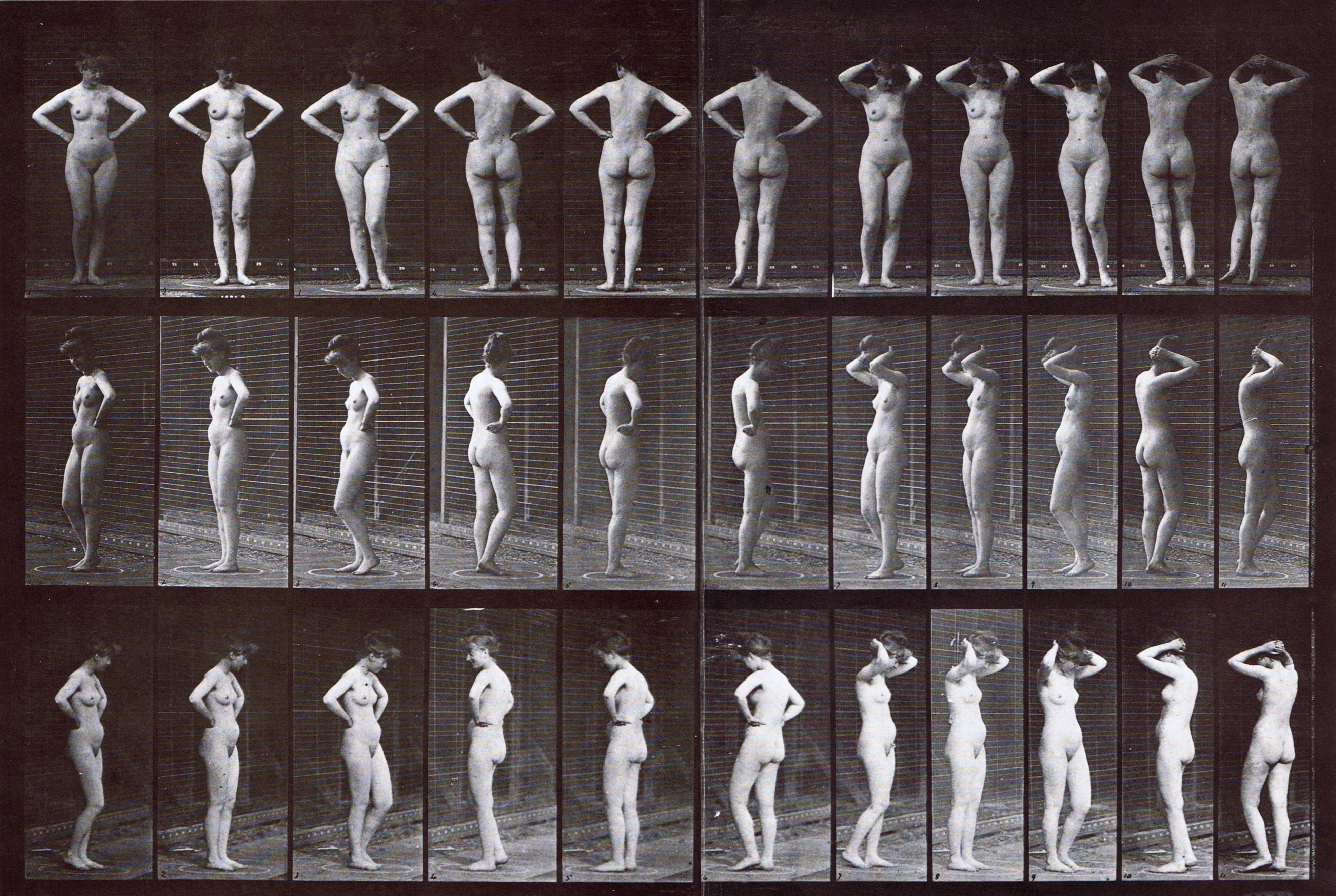 large front, front three-quarter, rear three-quarter views of nude female in various poses animation reference using muybridge plate 531 from animal locomotion