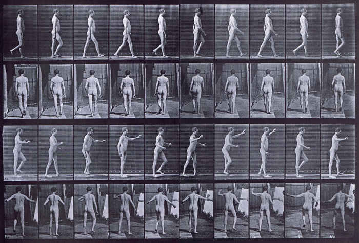 Profile and rear views of nude male with locomotor ataxia, a, walking with arms down, b, walking with arms up animation reference using muybridge plate 550 from animal locomotion