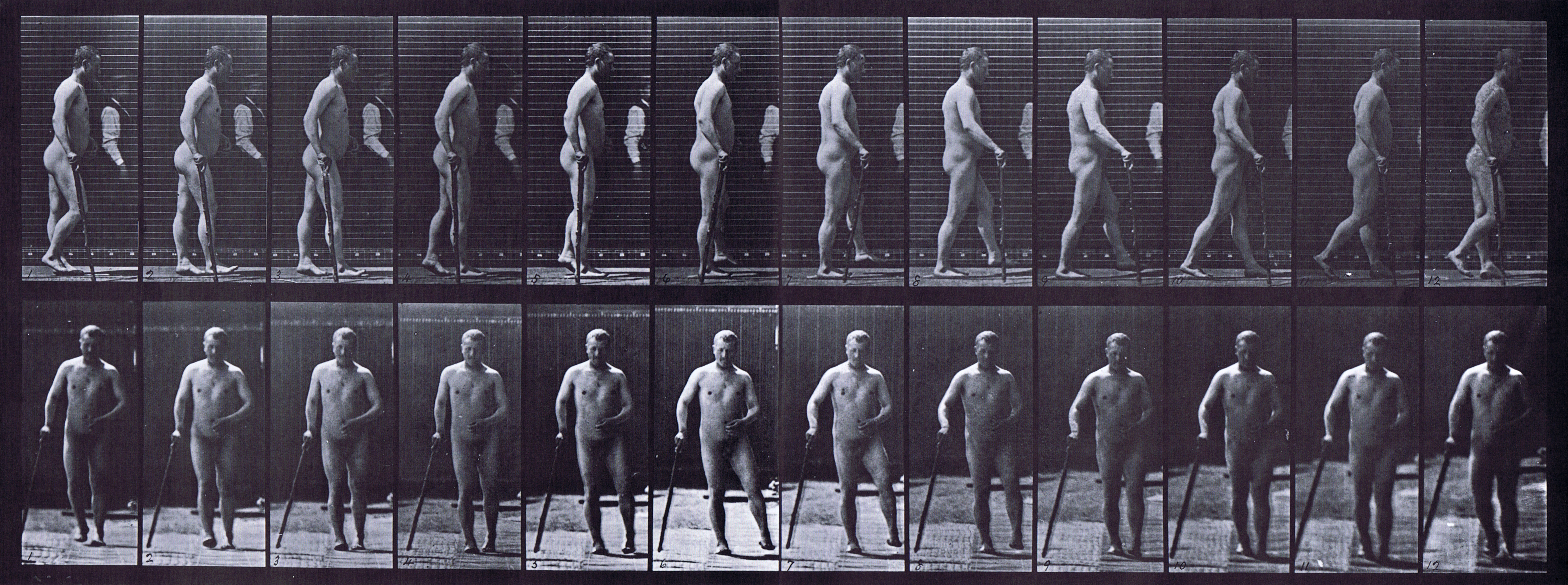 large profile and front views of nude male spastic walking with a cane animation reference using muybridge plate 552 from animal locomotion