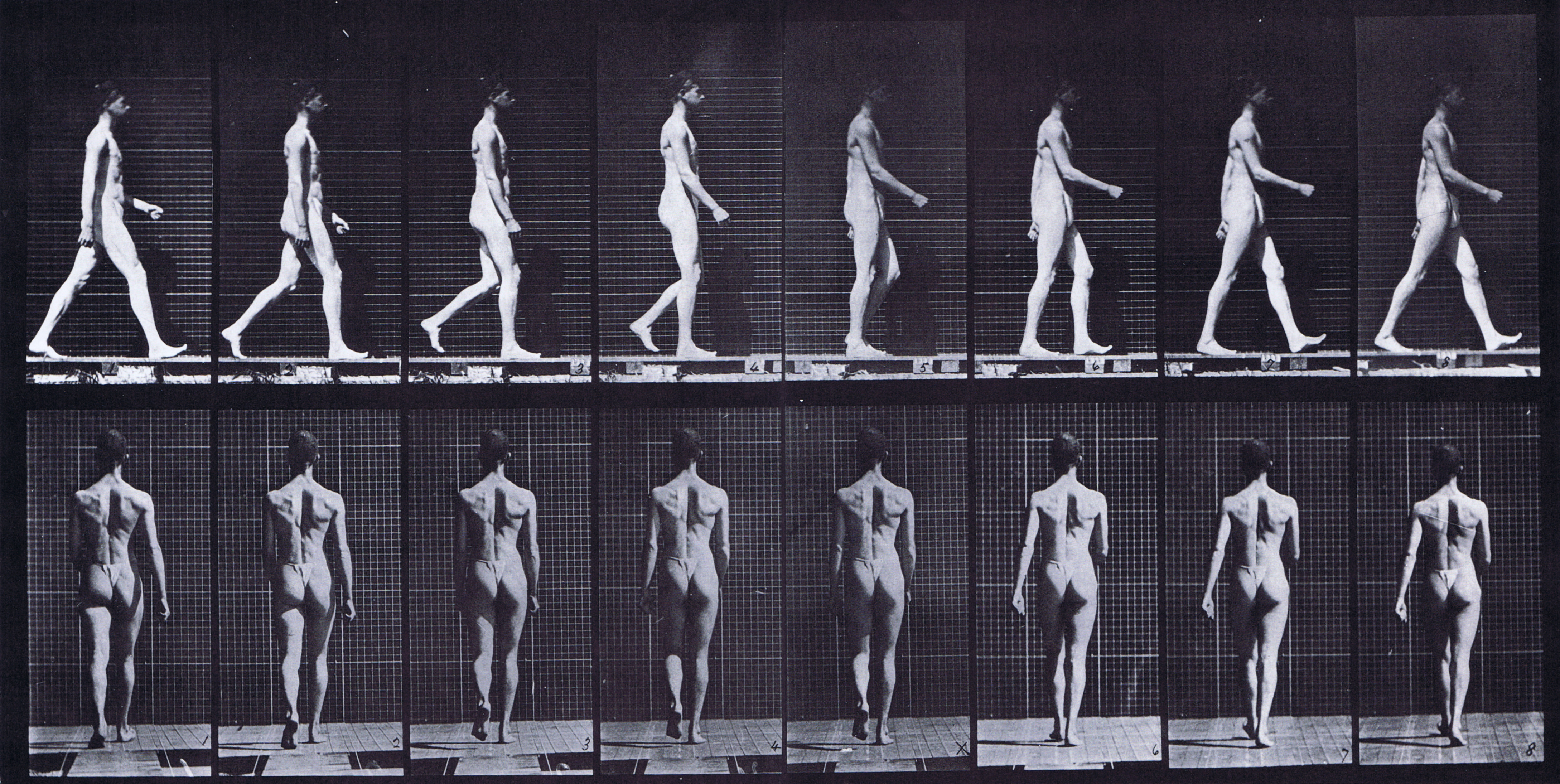 large muybridge artist reference for animators using plate 9 of a semi nude male wearing underwear and walking a single stride with profile and rear view