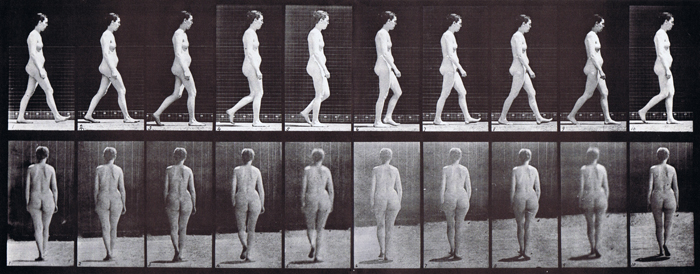 muybridge nude male walking single stride plate 0001 1