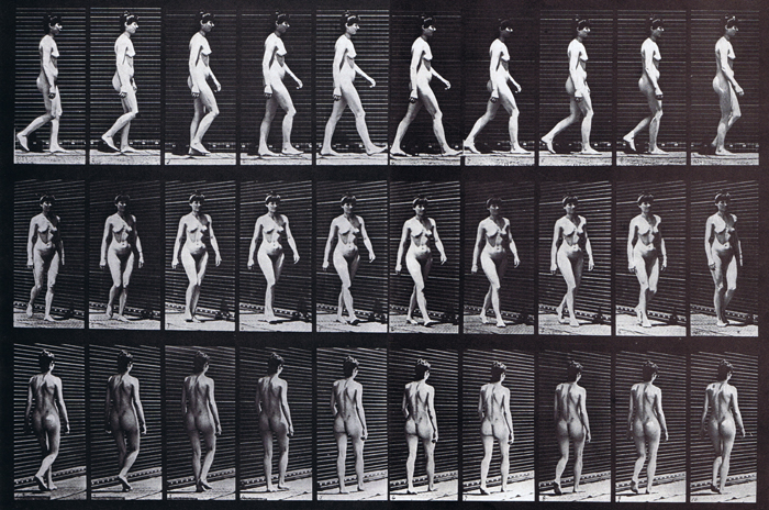 nude female walking for animation reference using muybridge plate 16 with profile front three quarter and rear three quarter view