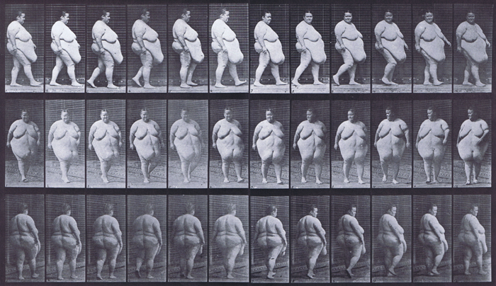 animation reference using muybridge plate 19 of overweight nude female walking and turning around