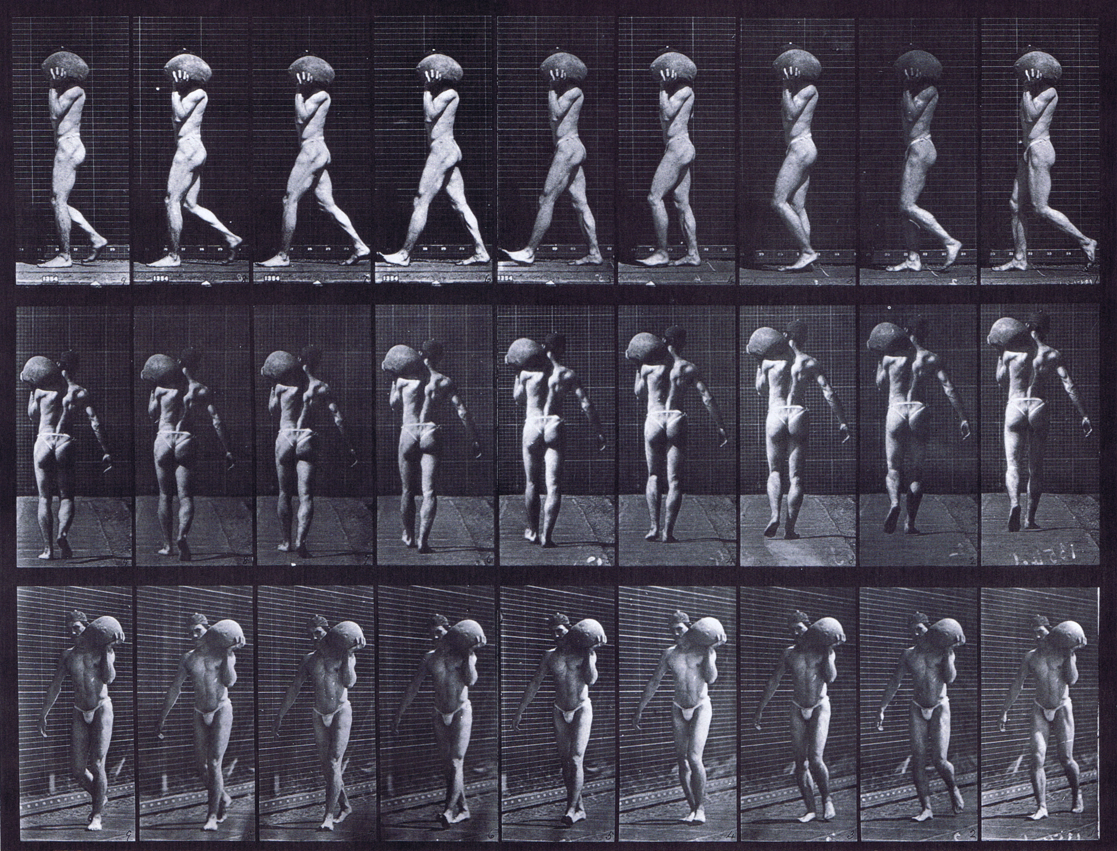 large semi nude male wearing underwear walking with 75 pound stone on left shoulder animator reference using muybridge plate 26 from animal locomotion