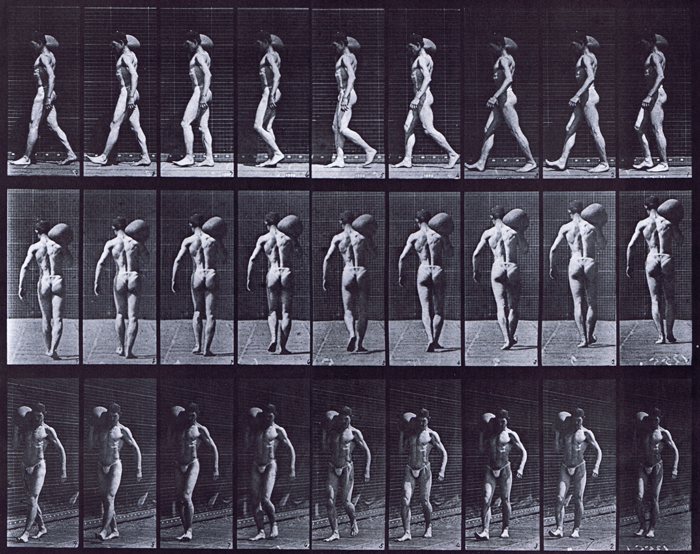 profile, rear, and front three quarter view of nude male walking, carrying a 75 pound stone on his right shoulder animation reference using muybridge plate 31 from animal locomotion