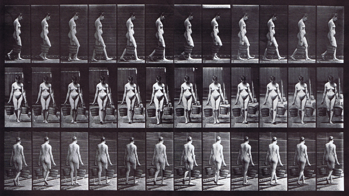 nude female looping walkcycle carrying a bucket of water in each hand artist reference using muybridge plate 32 from animatl locomotion