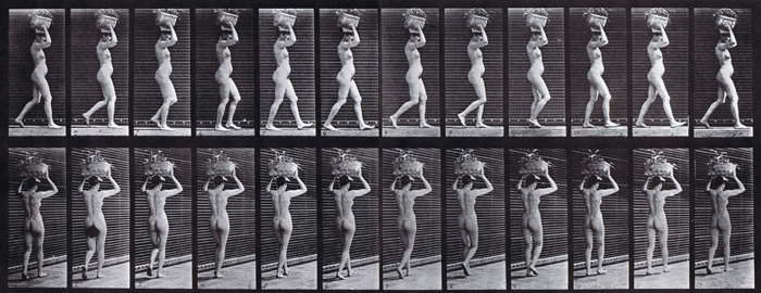 profile, and rear three-quarter view of nude female walking carrying a 14 pound basket on head with raised hands animation reference using muybridge plate 33 from animal locomotion