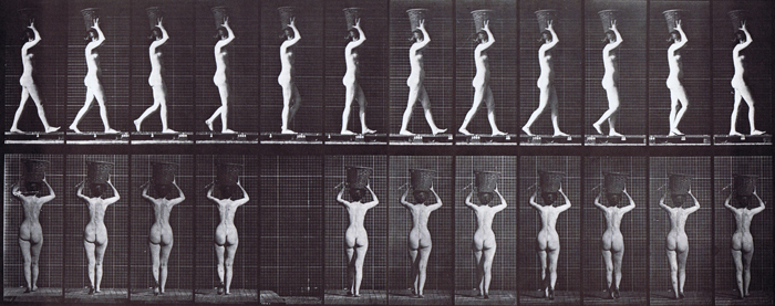 profile, and rear three-quarter view of nude female walking carrying a 14 pound basket on head with raised hands animation reference using muybridge plate 33 from animal locomotion