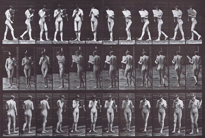 Profile, front, and rear three-quarter views of nude female walking and flirting fan while turning around animation reference using muybridge plate 46 from animal locomotion