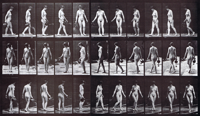 Profile, front, and rear three-quarter views of nude female walking turning around sprinkling water from a pot animation reference using muybridge plate 51 from animal locomotion