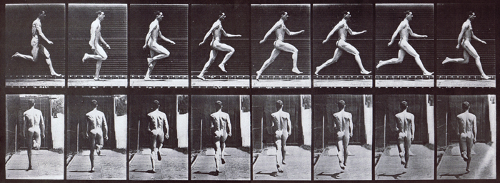 Profile and rear views of nude male running at full speed animation reference using muybridge plate 65 from animal locomotion