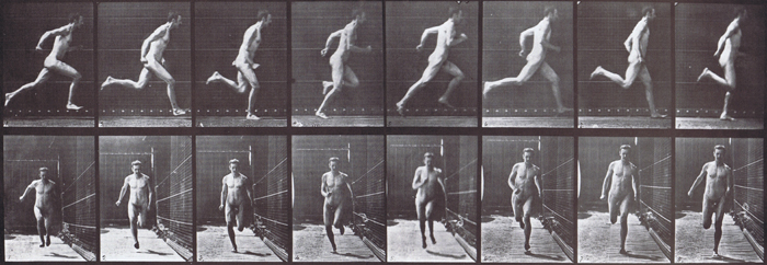 Profile and front views of nude male running animation reference using muybridge plate 67 from animal locomotion