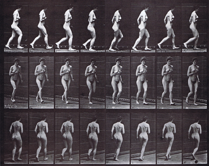 Profile, front three-quarter, and rear three-quarter views of nude female speed walking with right hand over left breast animation reference using muybridge plate 70 from animal locomotion