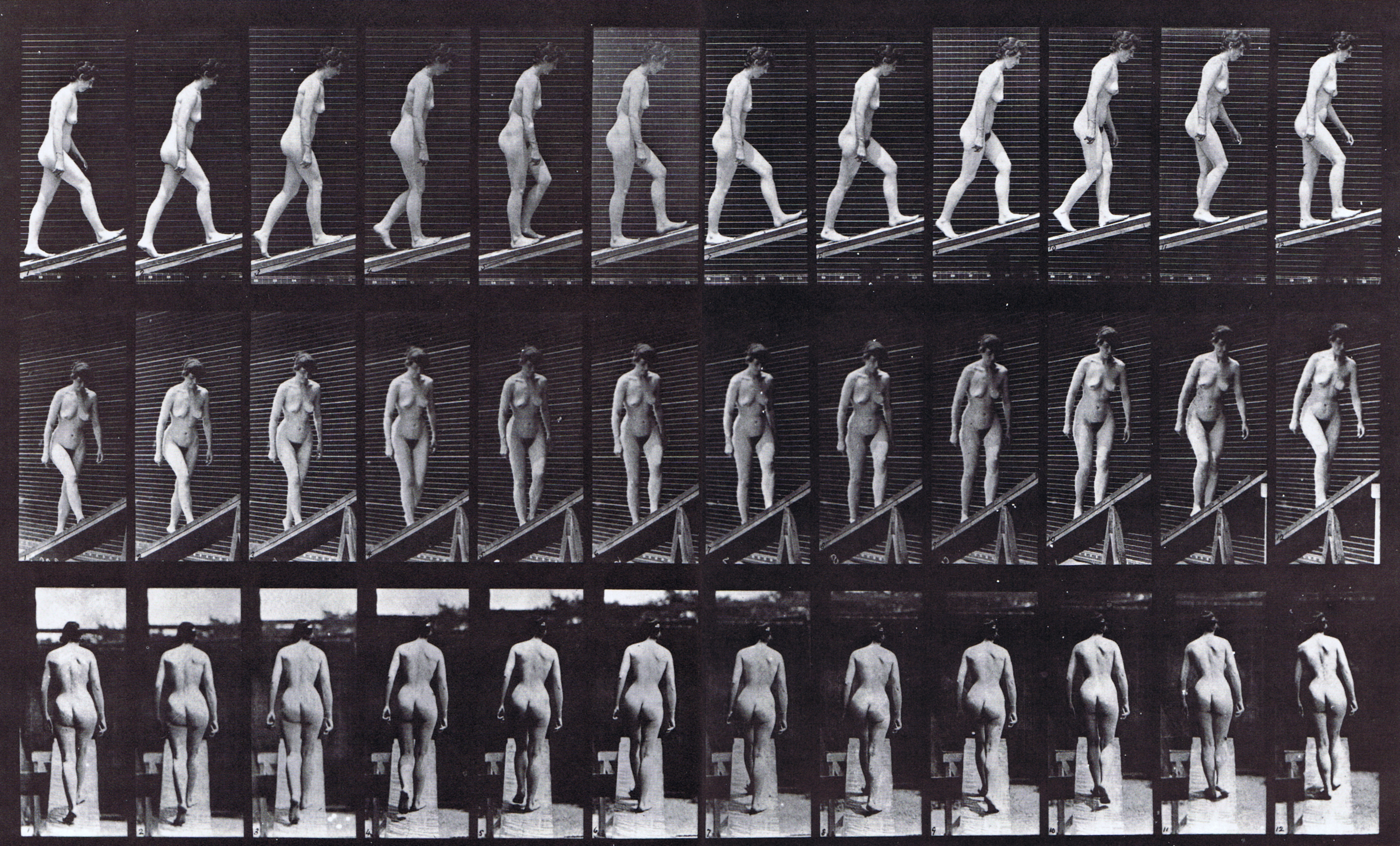 large profile, front three-quarter, and rear view of nude female assending an incline, looping walkcycle animation reference using muybridge plate 76 from animal locomotion