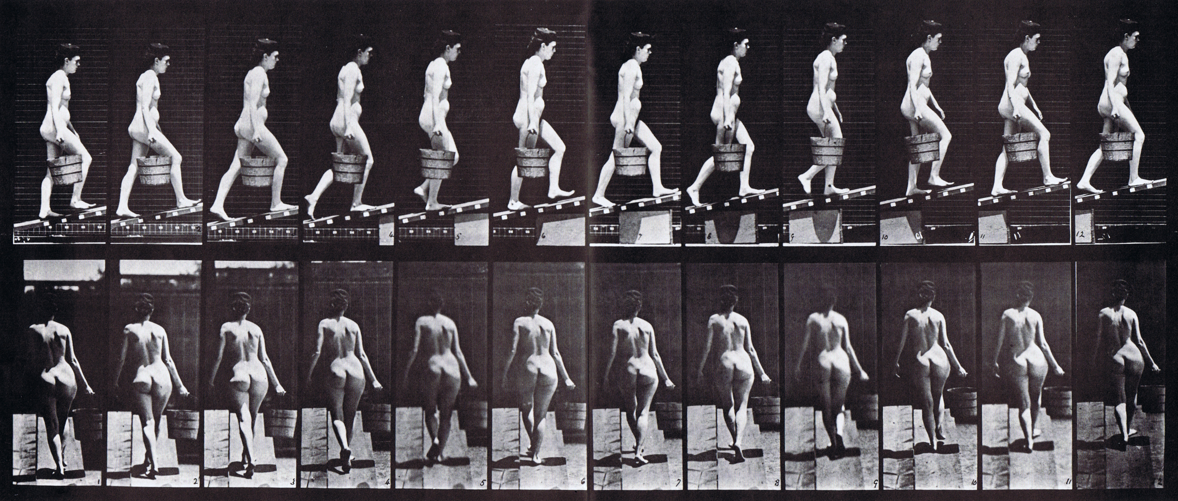 large profile and rear views of nude female ascending incline carrying a bucket of water in right hand, looping walkcycle animation reference using muybridge plate 83 from animal locomotion