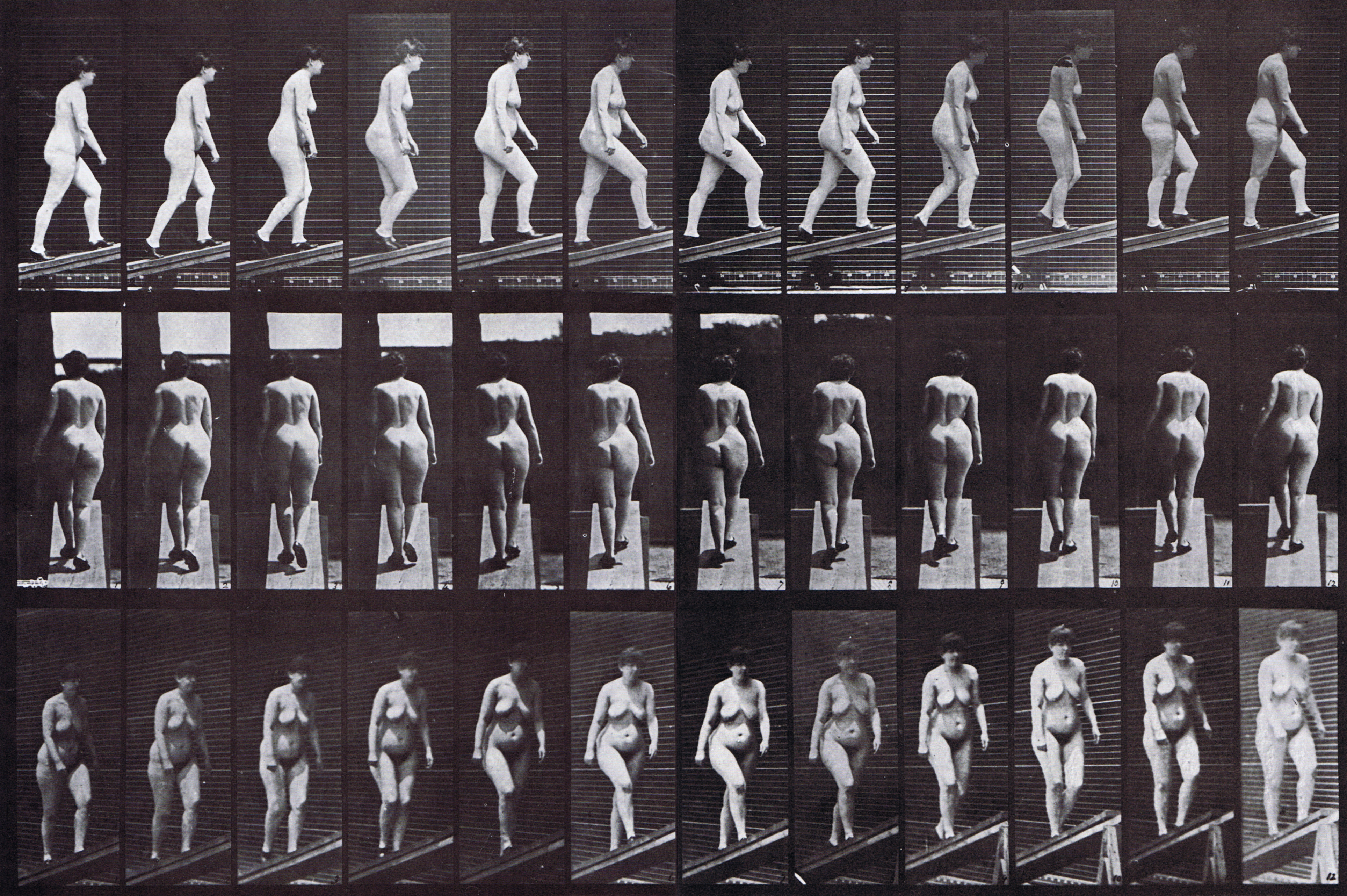 large profile, rear, and front three-quarter views of nude female ascending incline, looping walkcycle animation reference using muybridge plate 86 from animal locomotion