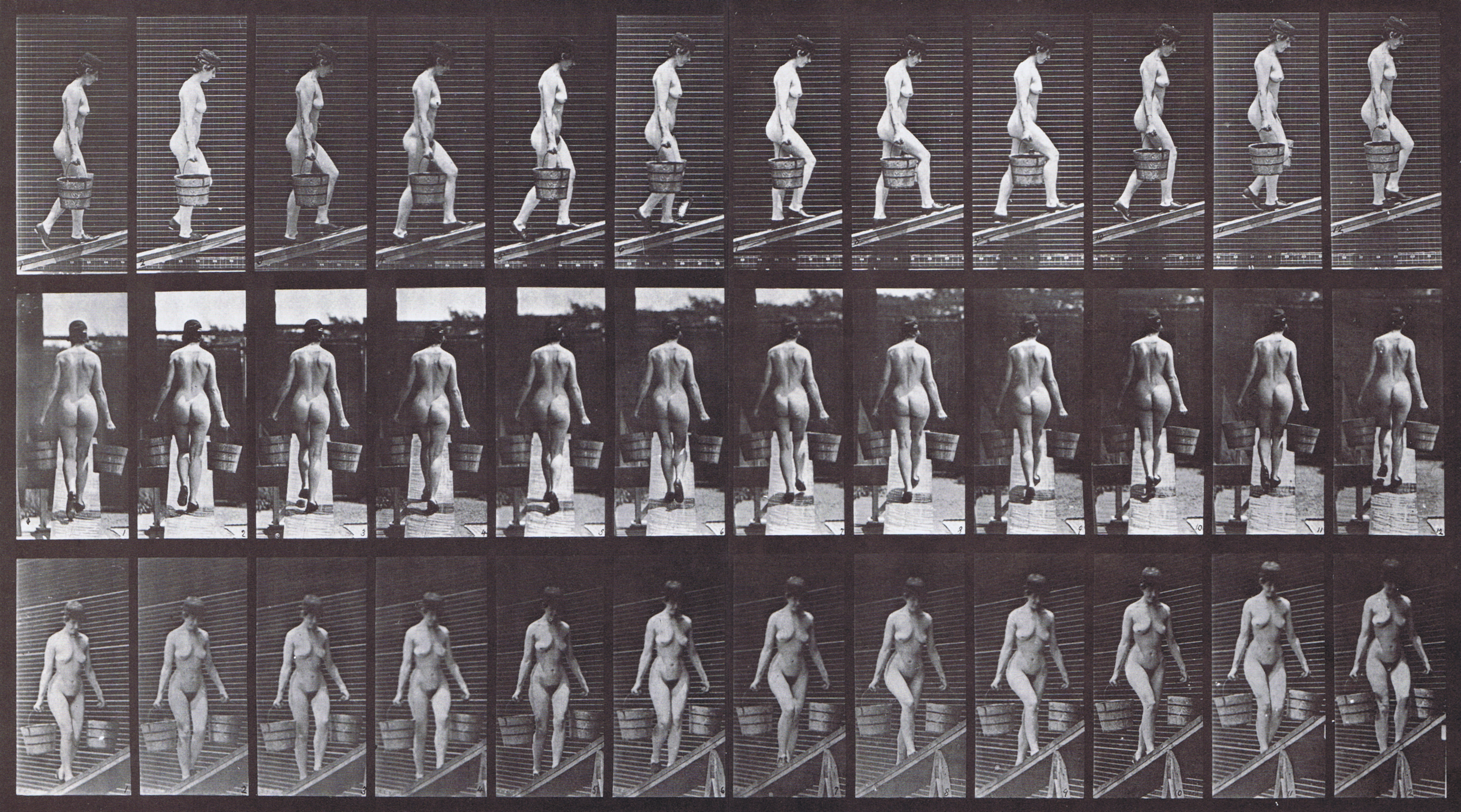 large profile, rear, and front three-quarter views of nude female ascending incline holding a bucket of water in each hand animation reference using muybridge plate 87 from animal locomotion