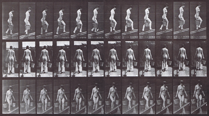Profile, rear, and front three-quarter views of nude female ascending incline holding a bucket of water in each hand animation reference using muybridge plate 87 from animal locomotion