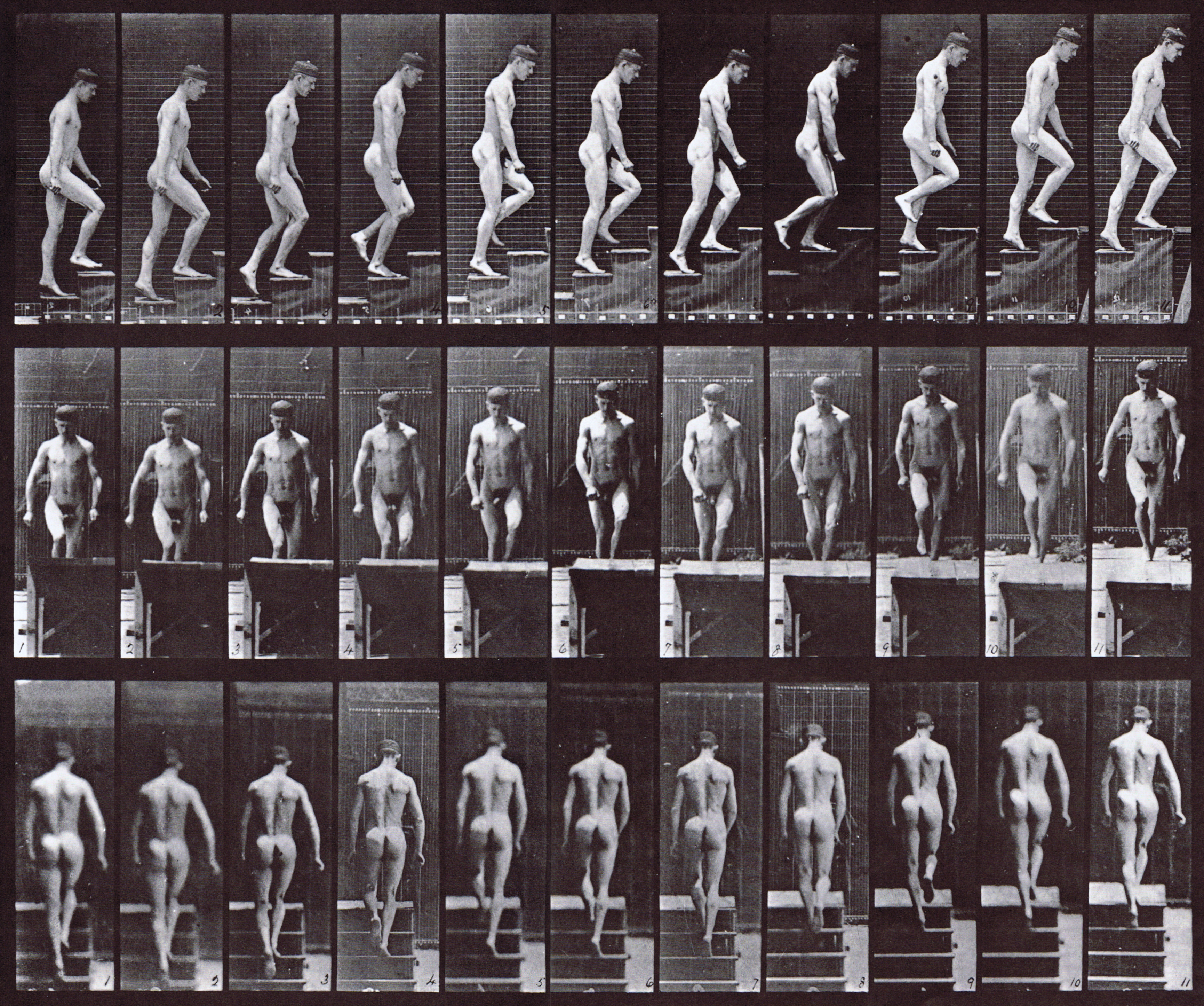 large profile, front, and rear views of looping walkcycle nude male ascending stairs animation reference using muybridge plate 88 from animal locomotion