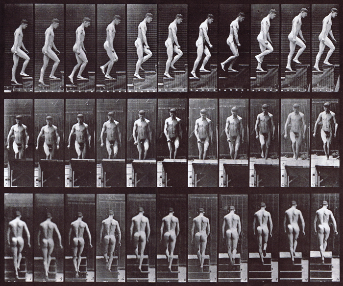 Profile, front, and rear views of looping walkcycle nude male ascending stairs animation reference using muybridge plate 88 from animal locomotion