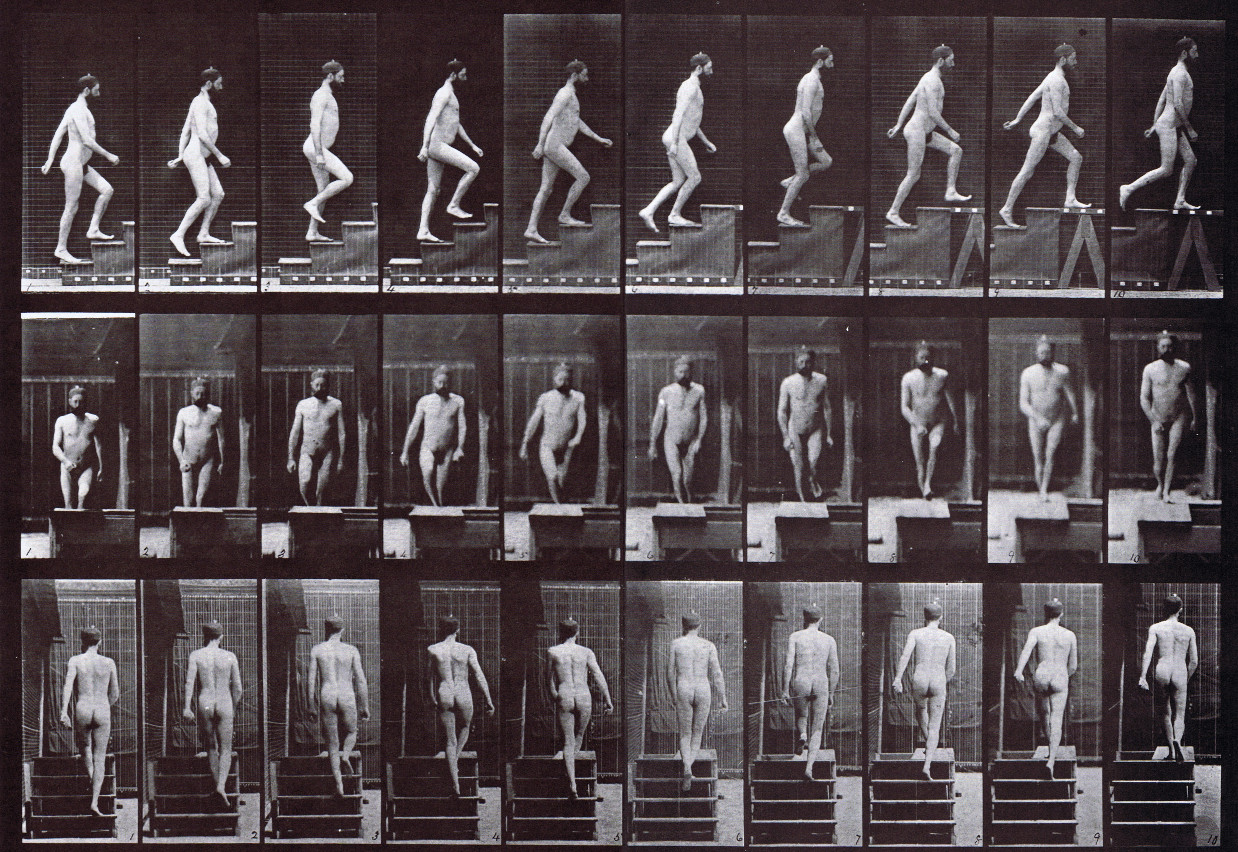 large profile, front, and rear views of nude male ascending stairs animation reference using muybridge plate 90 from animal locomotion