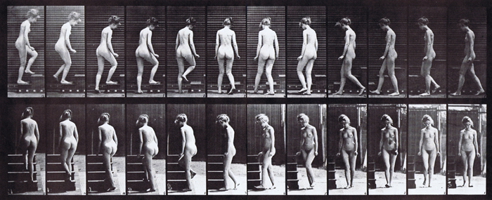 Profile and front views of nude female walking turning and ascending stairs animation reference using muybridge plate 98 from animal locomotion