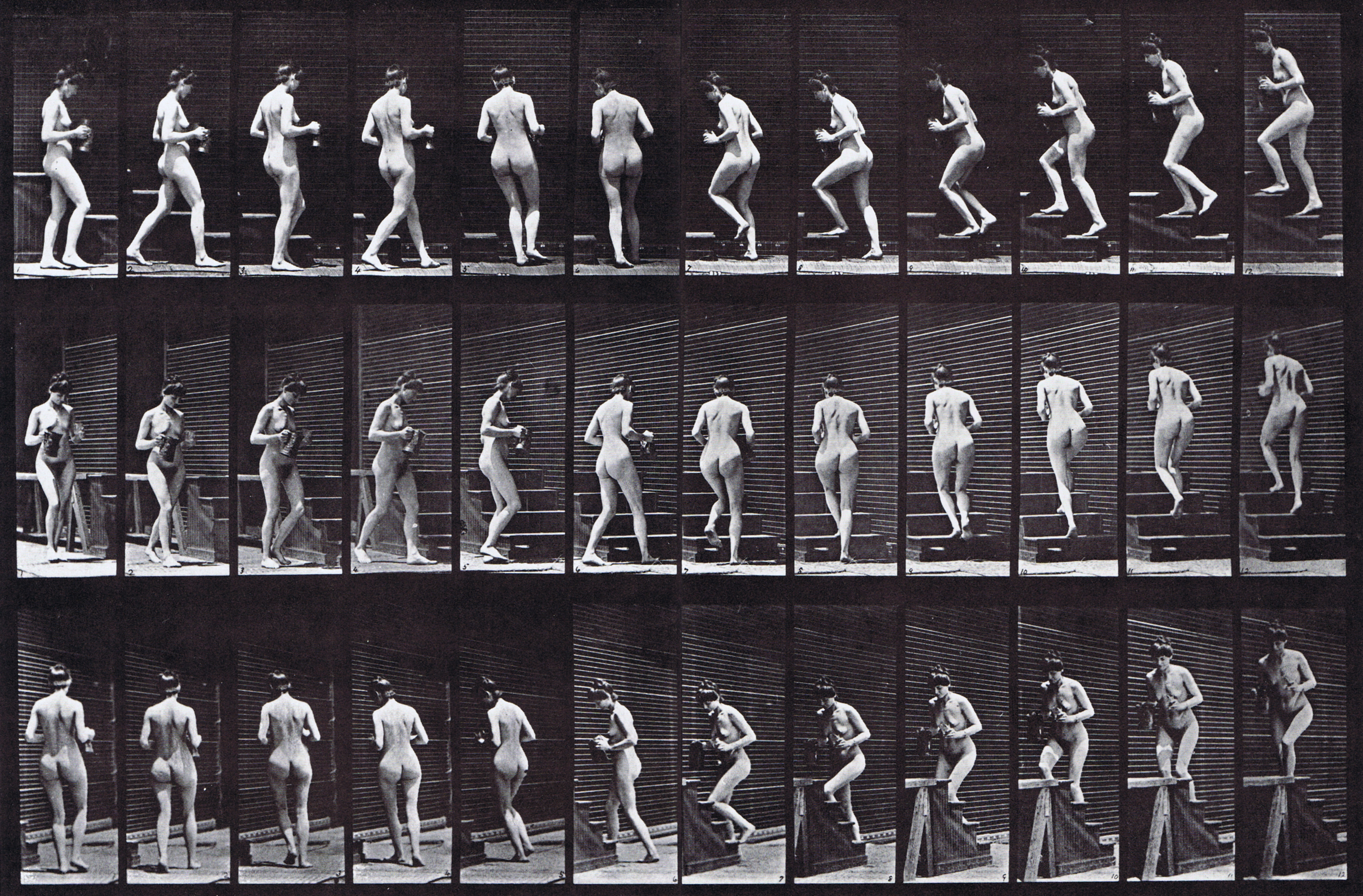 large profile, front three-quarter, and rear three-quarter views of nude female walking turning and ascending stairs while holding a pitcher and goblet animation reference using muybridge plate 103 from animal locomotion