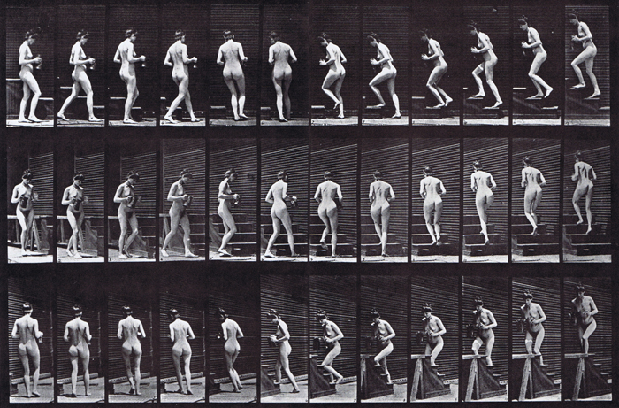 Profile, front three-quarter, and rear three-quarter views of nude female walking turning and ascending stairs while holding a pitcher and goblet animation reference using muybridge plate 103 from animal locomotion
