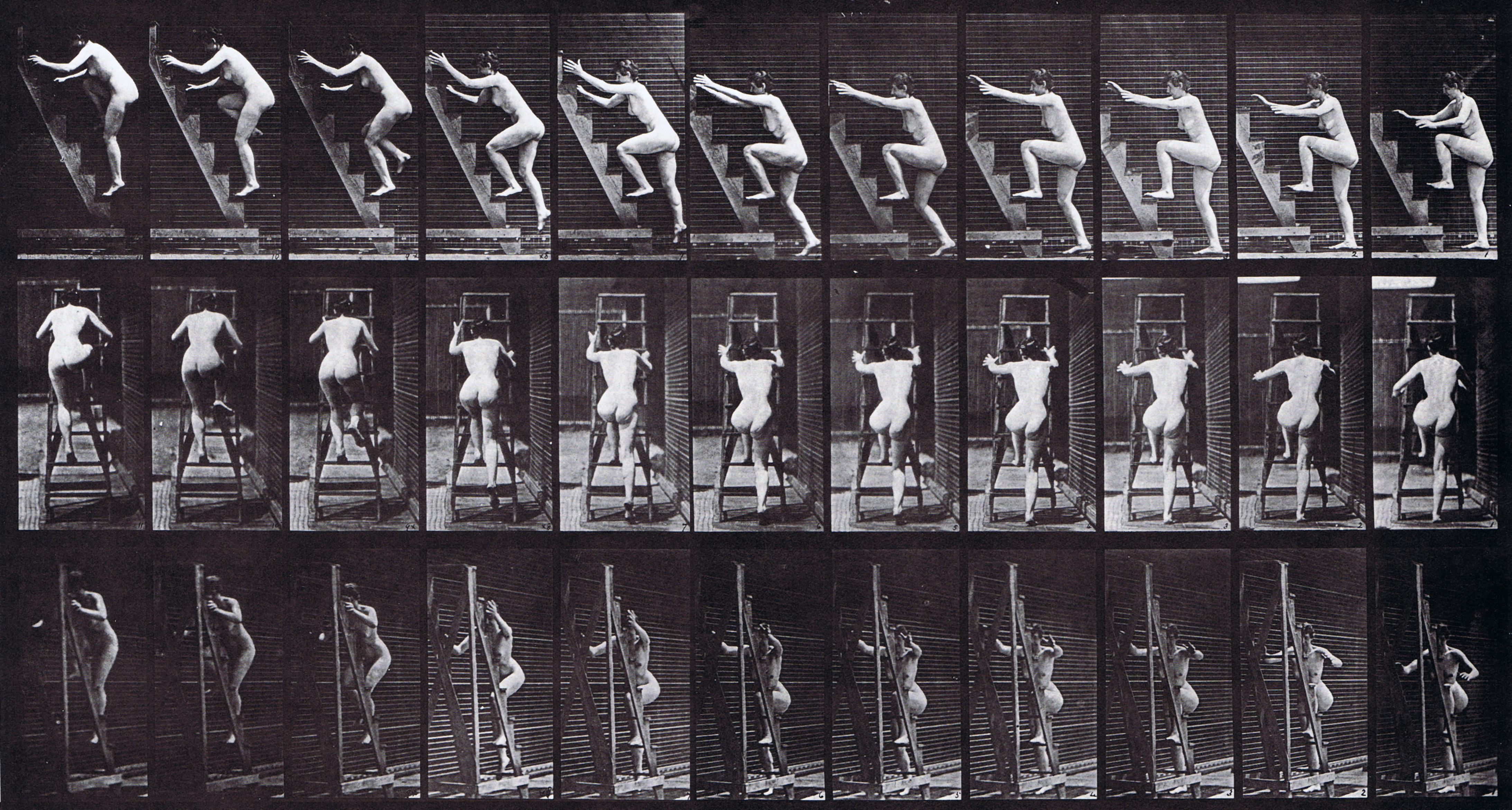 large profile, rear, and front three-quarter views of nude female ascending a stepladder two steps at a time animation reference using muybridge plate 110 from animal locomotion