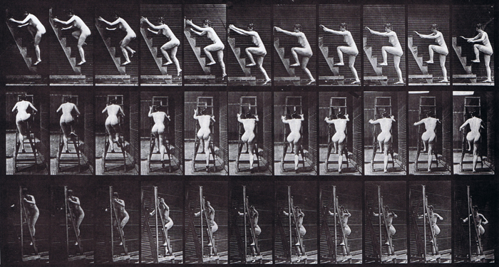 Profile, rear, and front three-quarter views of nude female ascending a stepladder two steps at a time animation reference using muybridge plate 110 from animal locomotion
