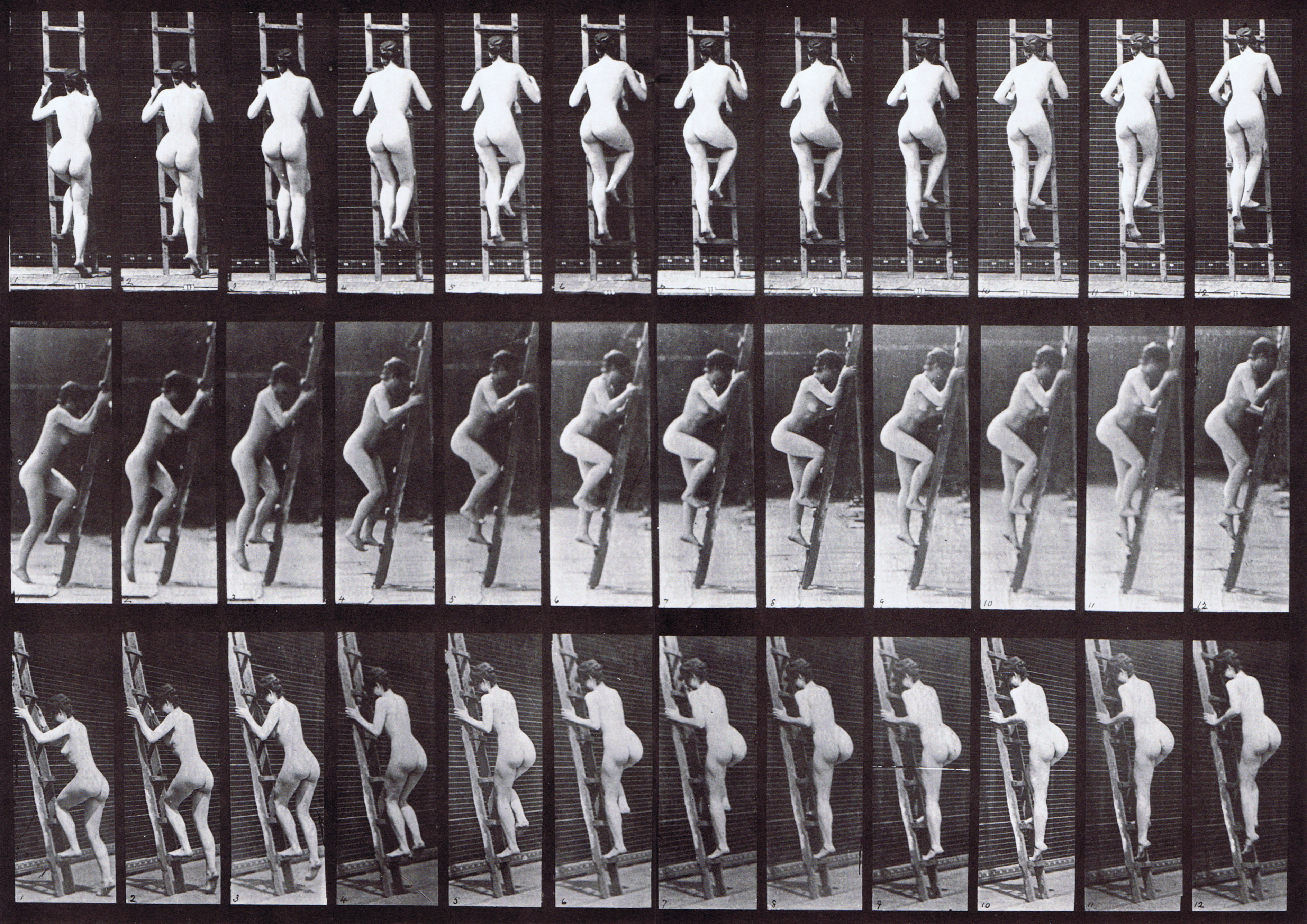 large rear, profile, and rear three-quarter views of nude female ascending a ladder animation reference using muybridge plate 112 from animal locomotion
