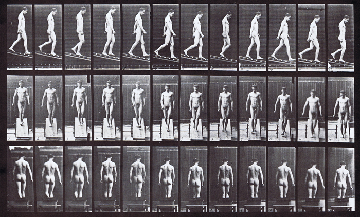Profile, front, and rear views of looping walkcycle nude male descending incline animation reference using muybridge plate 114 from animal locomotion