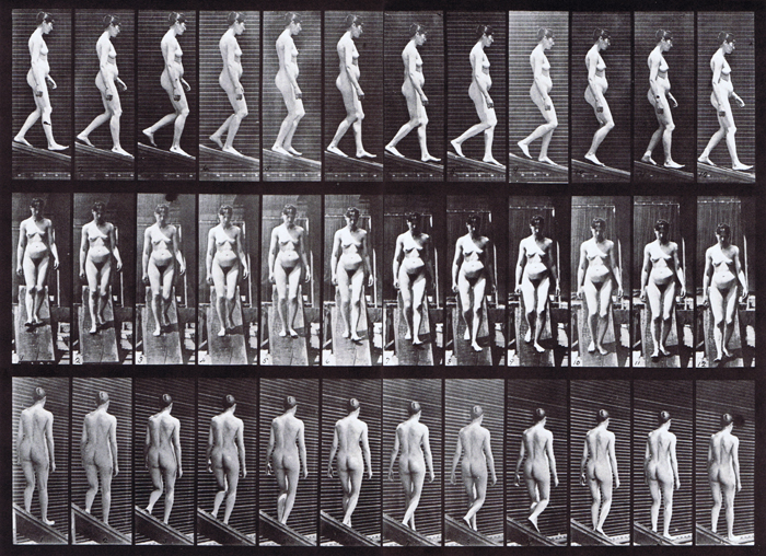 Profile, front, and rear three-quarter views of looping nude female descending an incline animation reference using muybridge plate 117 from animal locomotion